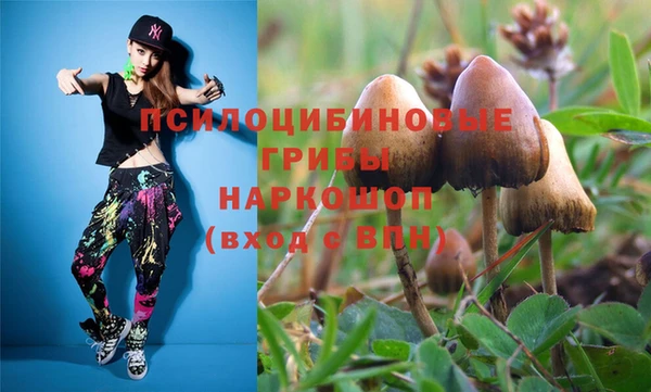 ешки Вязники